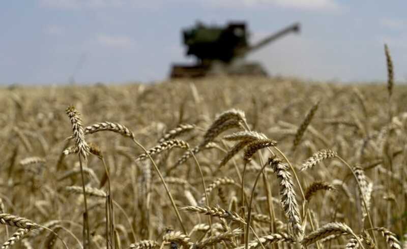 Russian drone company linked to relatives accused of exporting wheat from occupied Ukraine